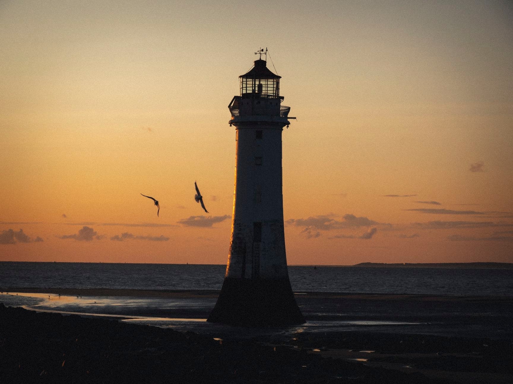 Seagulls, New Brighton by Thomas Fells
