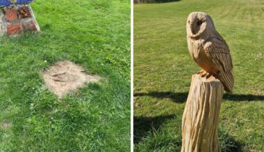Sculpture stolen from Sadlers Wood in North Walsham