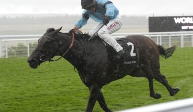 Merchant route could encompass York or France