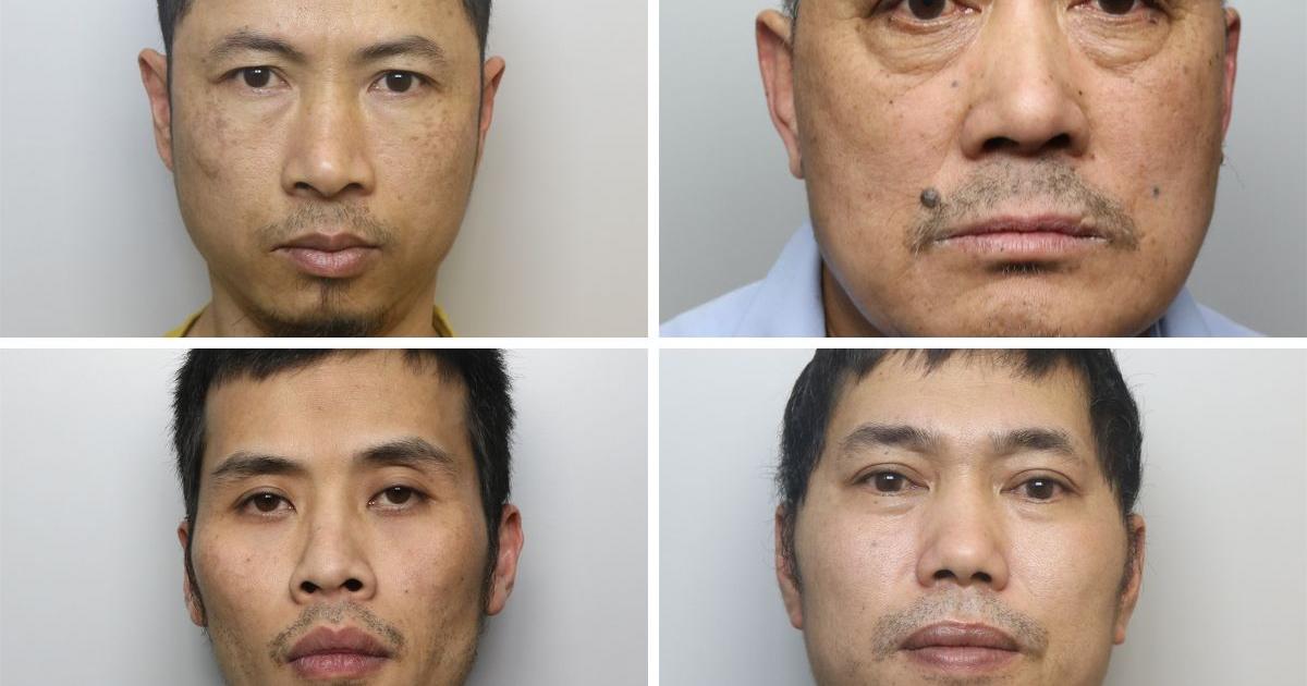 Four jailed over cannabis factory on Quarry Road Gomersal