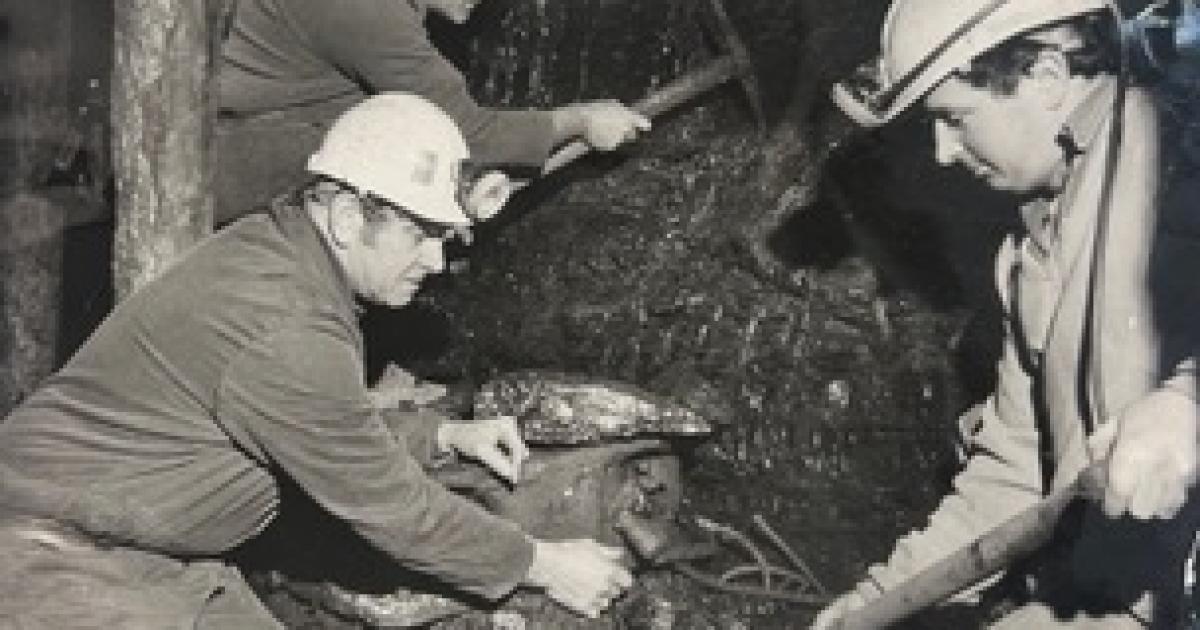 LOOK: Photos of life in South Wales mines from the 1980s