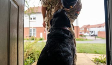 Rules on owning pets ease for families in 900 military homes in Northern Ireland