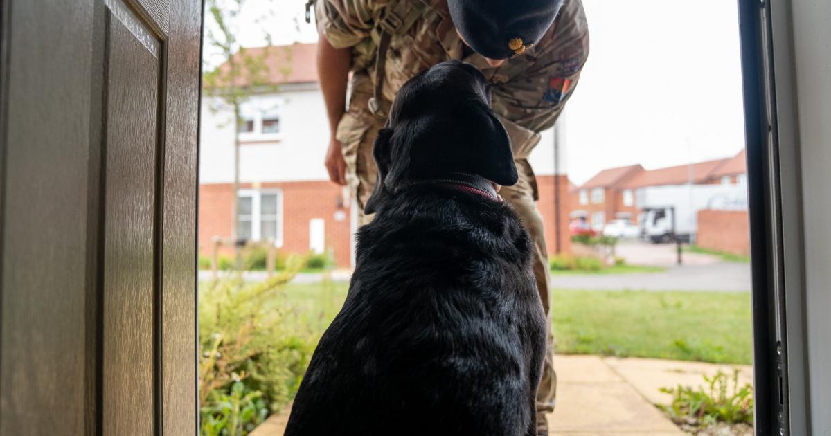Rules on owning pets ease for families in 900 military homes in Northern Ireland
