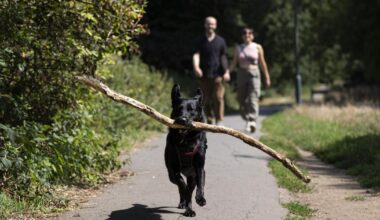 Parts of UK forecast to hit 34C during fourth summer heatwave