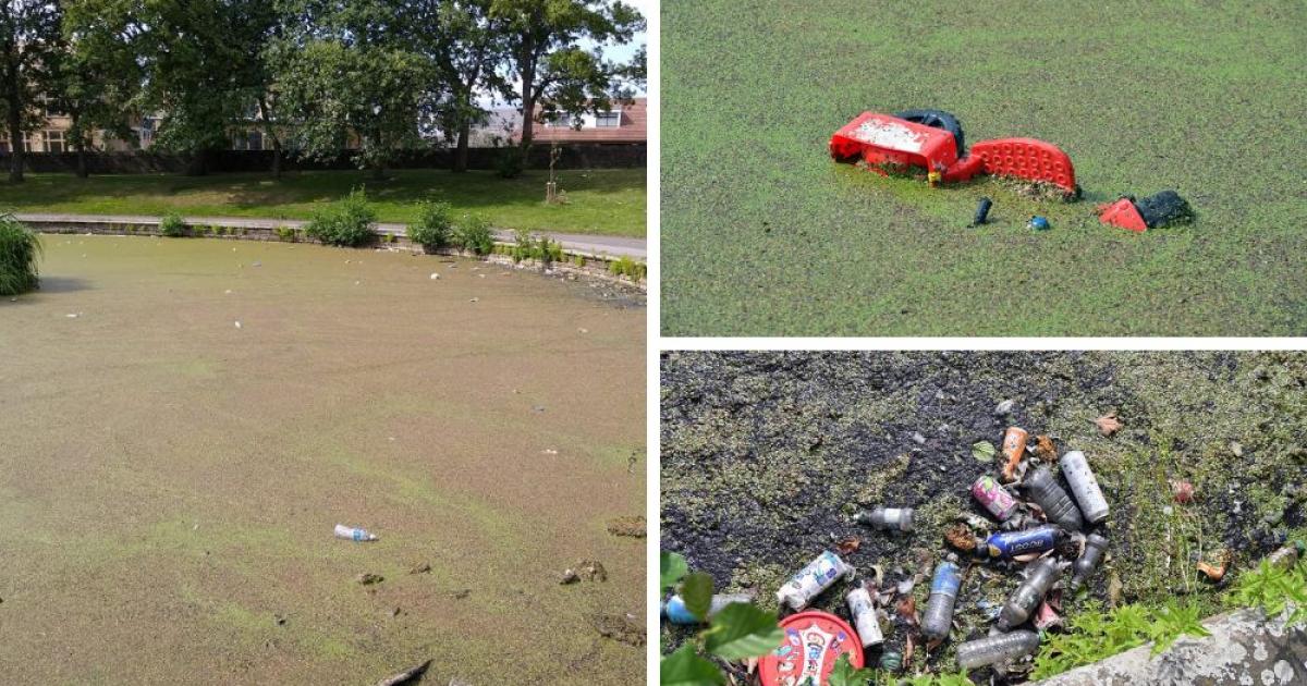 Litter strewn across Bradford Moor Park pond to be cleaned