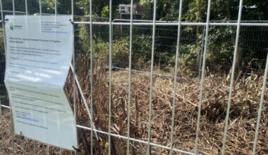 Removing invasive plant from Norwich meadow could take years
