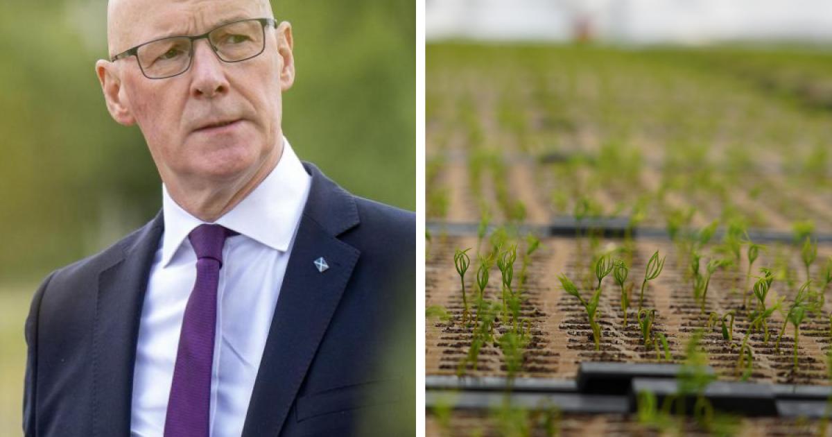 John Swinney opens £26m Moray glasshouse to tackle climate change