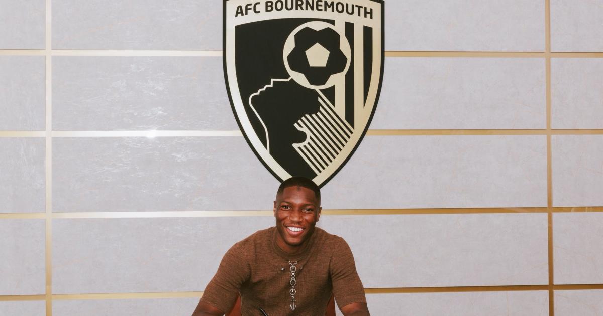 AFC Bournemouth sign centre back Bafode Diakite from Lille