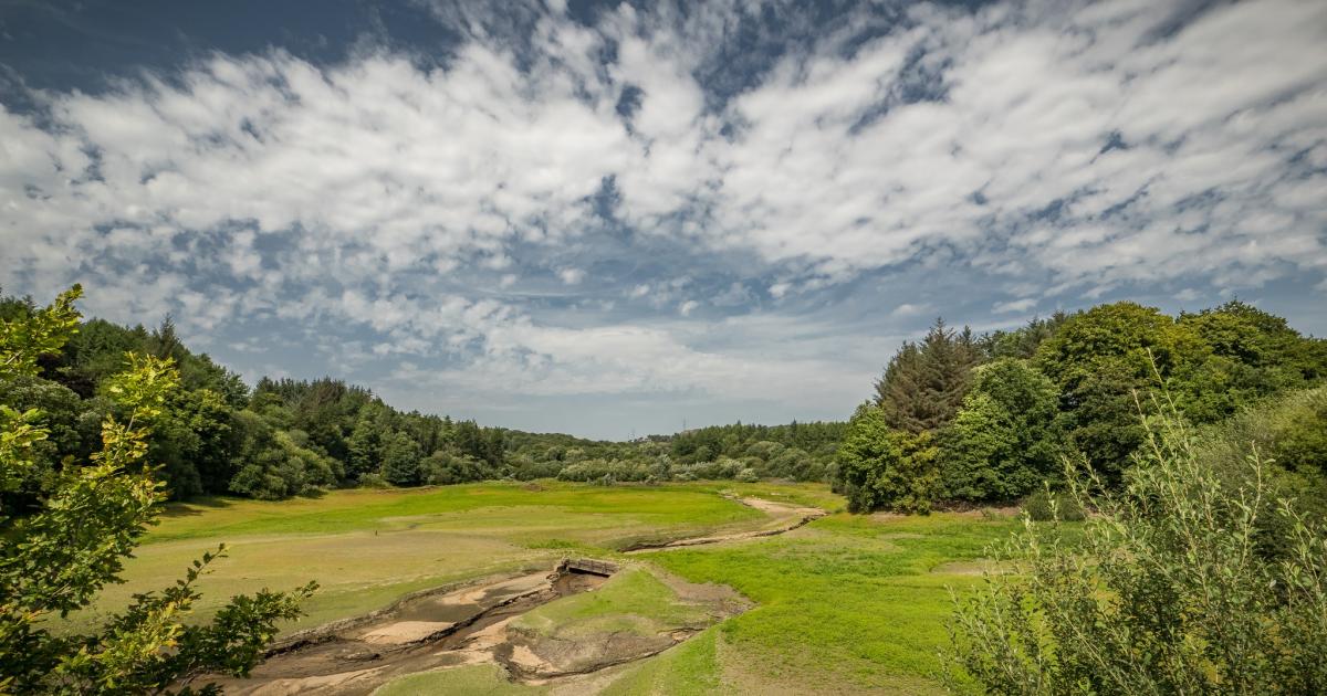 United Utilities issues tips as summer driest since 1976