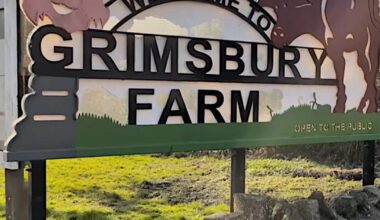 Update on future plans for Grimsbury Farm in Kingswood