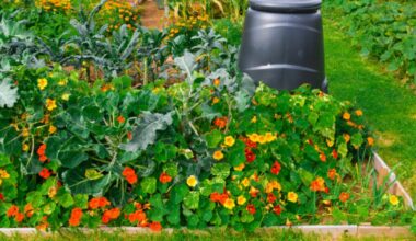 Redbridge Council: New allotment spaces to be created