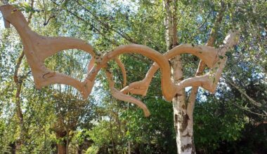 Inverness Botanic Gardens opens new nature-inspired sculpture exhibition