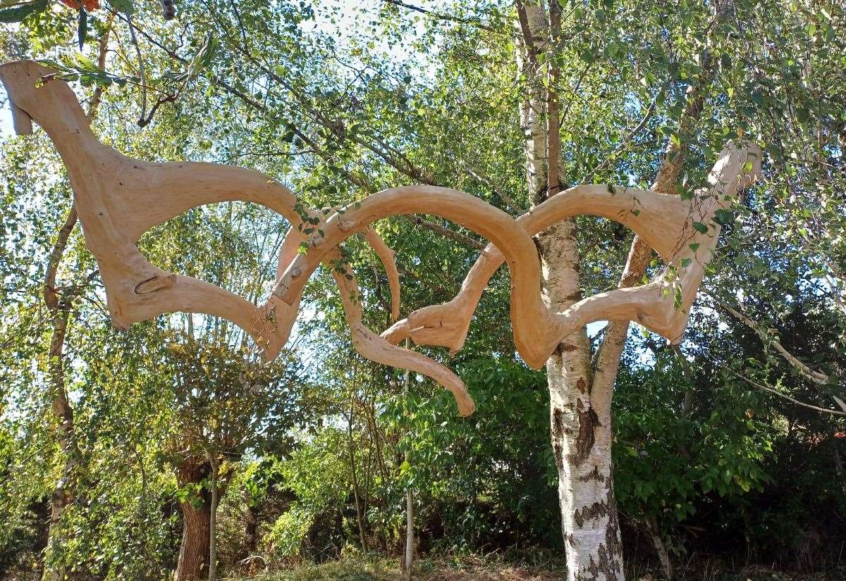 Inverness Botanic Gardens opens new nature-inspired sculpture exhibition