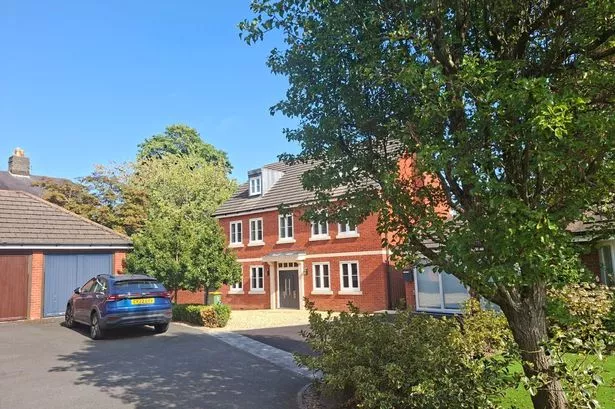 The image shows the plush detached property
