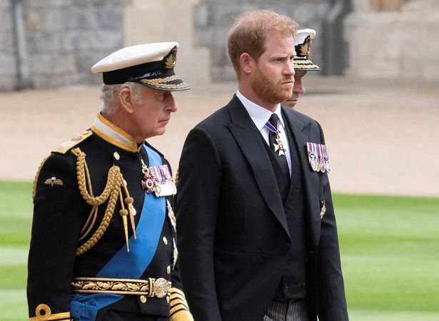 Harry is trying to make up with his father, King Charles, but there's been no mention of William, so possibly the feelings are mutual
