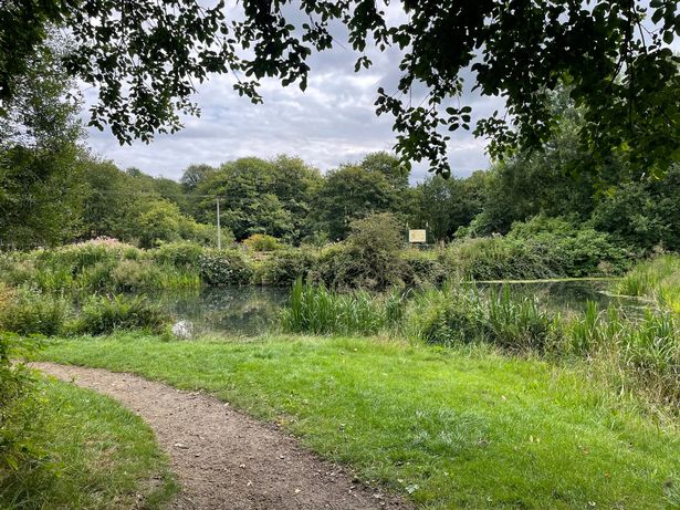 The park is the perfect place for a walk this summer 