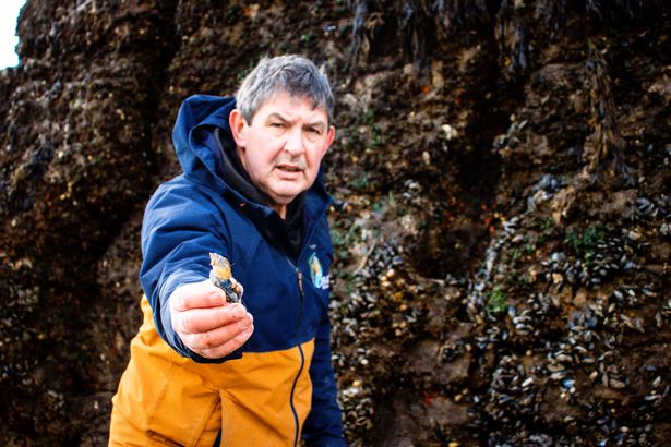 Craig Evans has been scouring the Welsh coast and country for wild foodstuffs, including clams, cockles, oysters, sea vegetables and plants for a long time.