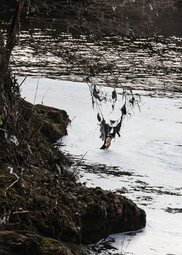Pollution on the River Tame