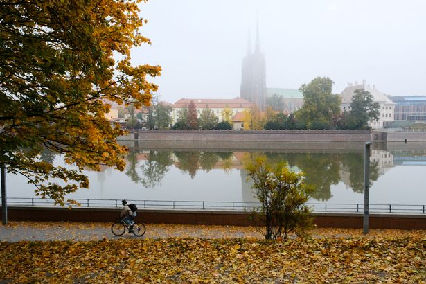 Autumn colours and morning mist in Wroclaw, Poland.
