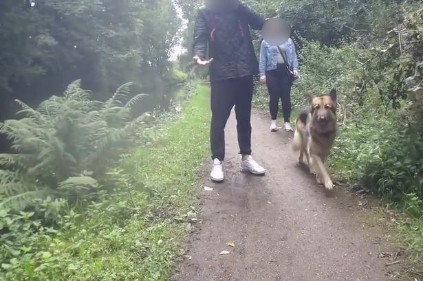 The moment before a cyclist was pushed into Ashton Canal by a dog walker