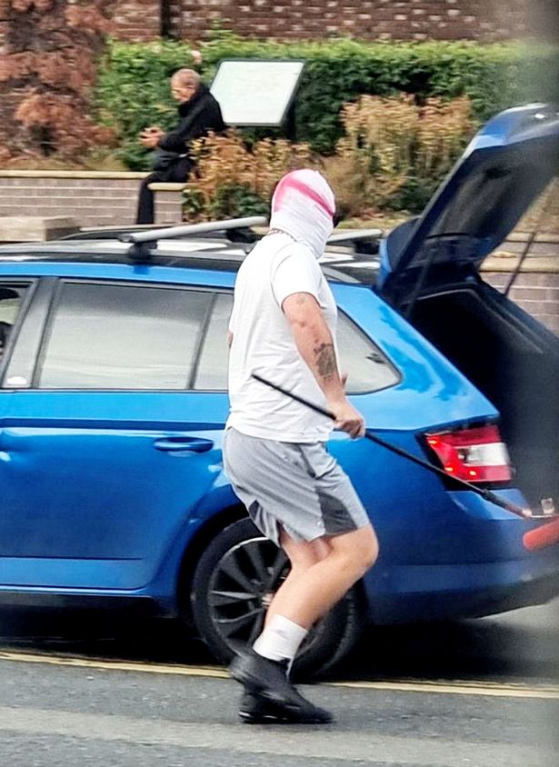 Some police forces have launched investigations into the 'acts of vandalism'