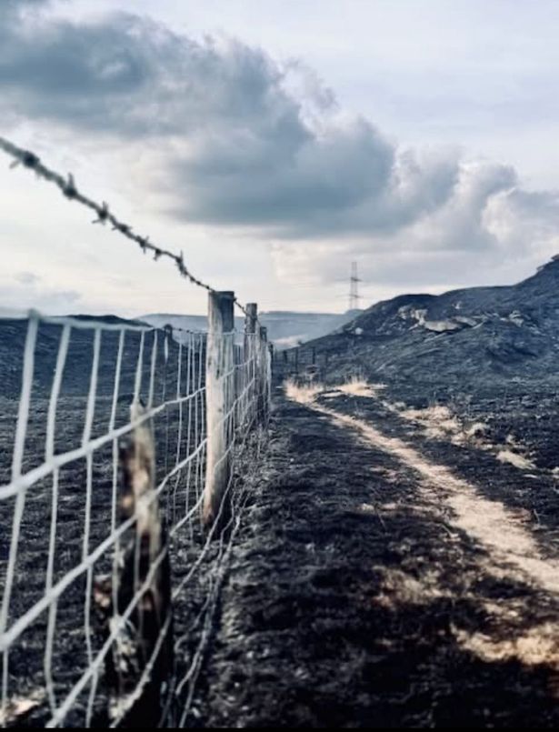 A wire fence, in a mountainous area that is blackened from fire