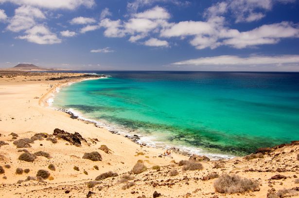 A sandy beach, with scattered shrubs and turquoise blue water 