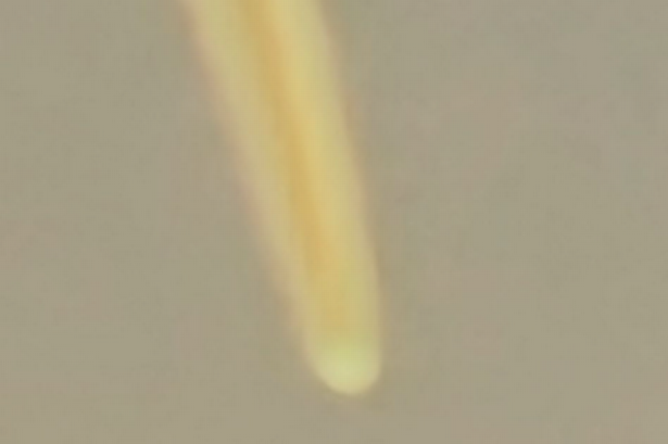 A meteor in Bathgate on Saturday.