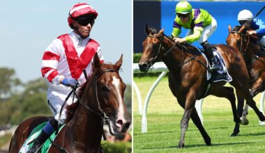 Skyhook (left) and Pallaton are key betting fancies in Saturday