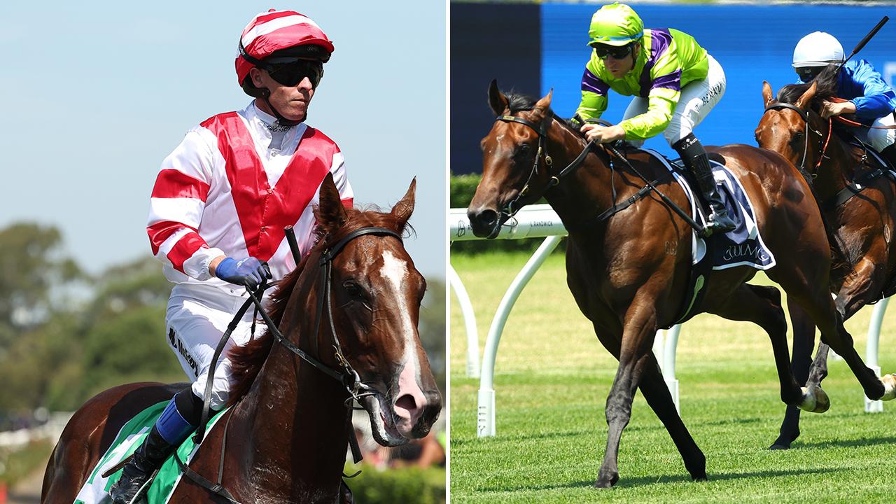 Skyhook (left) and Pallaton are key betting fancies in Saturday