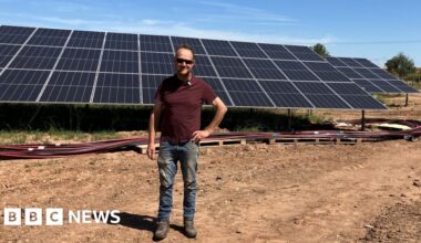 Warwickshire farmer installs solar panels on part of land