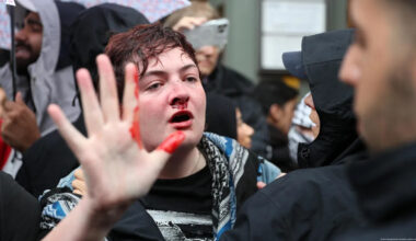 Ireland voices concern over Berlin police violence