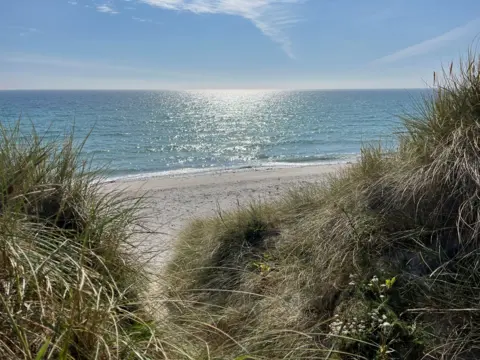 Clare Chapman A shot looks through a gap in the long grass leading to Tresness beach, in Sanday, Orkney. Clean pale sand leads down to the water which is reflecting the sunshine.