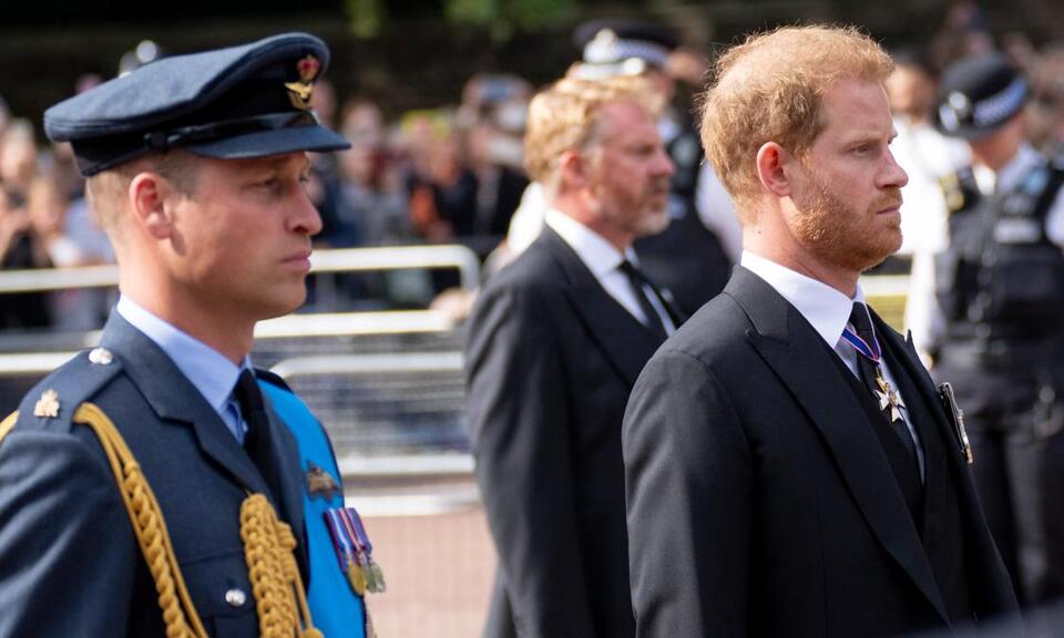 Why Prince Harry and Prince William Will Never Get Princess Diana’s Ancestral Home