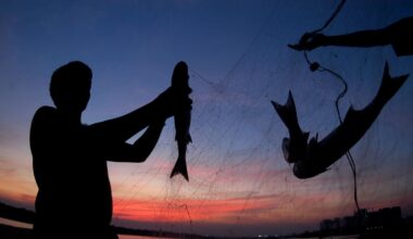 India casts wider net for seafood exports as US tariffs bite