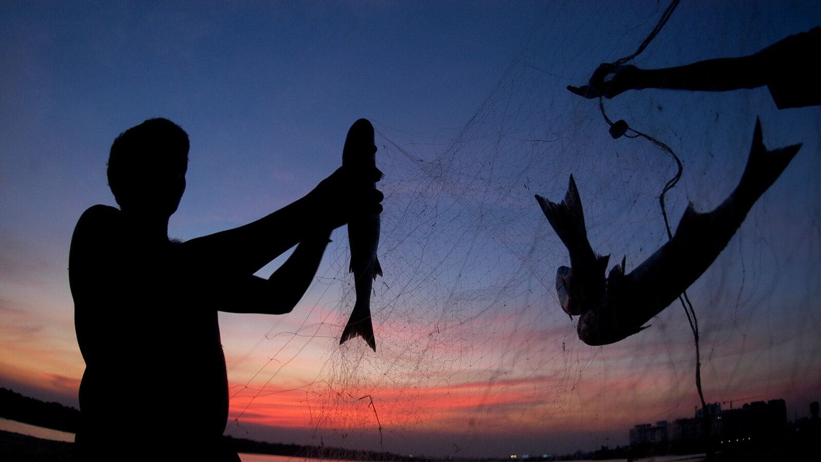 India casts wider net for seafood exports as US tariffs bite