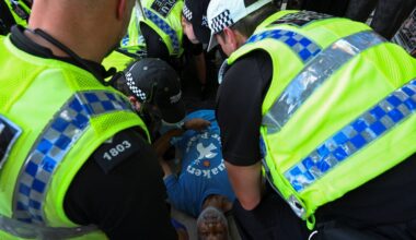 UK police arrest at least 200 people at Palestine Action protest in London | Protests News