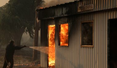 Wildfires scorch Greece as heatwave grips parts of Europe | Climate Crisis News