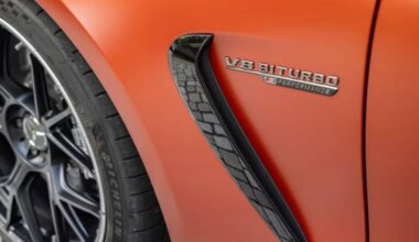 European Automakers Ask EU To Drop Combustion Engine Ban