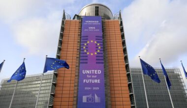Spanish economist says EU gains little from new tariff deal with U.S.-Xinhua