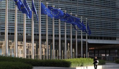 EU halts 93-bln-euro tariffs on U.S. goods despite members' dissent-Xinhua