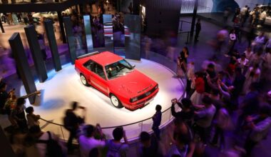 Fair competition, not protectionism, drives innovation, says German official-Xinhua