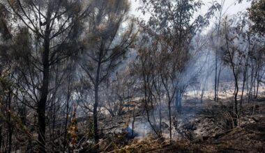 Wildfire damage in EU quadruples to nearly 900,000 hectares from last year-Xinhua
