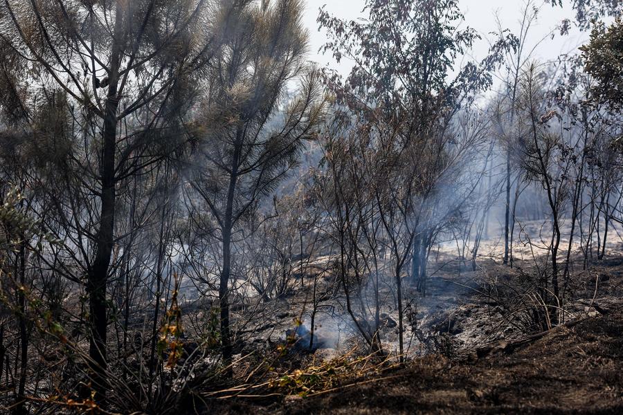 Wildfire damage in EU quadruples to nearly 900,000 hectares from last year-Xinhua