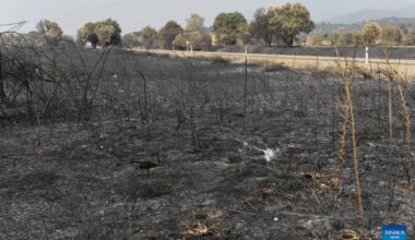 View of burned land in Caceres, Spain-Xinhua