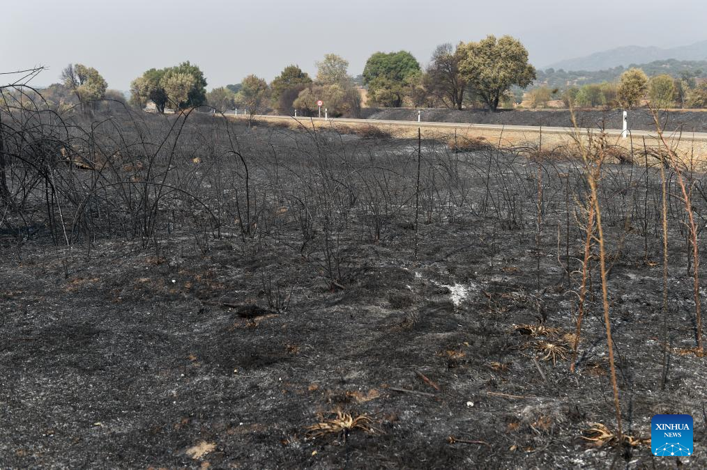 View of burned land in Caceres, Spain-Xinhua