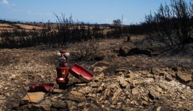 Wildfires in Spain signal growing climate risks for Europe, expert warns-Xinhua
