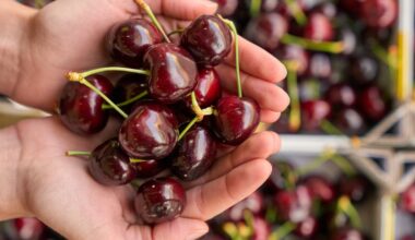 The common British fruit which can protect against Alzheimer’s