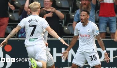Swansea City 1-0 Sheffield United: Ronald goal gets Swans up and running