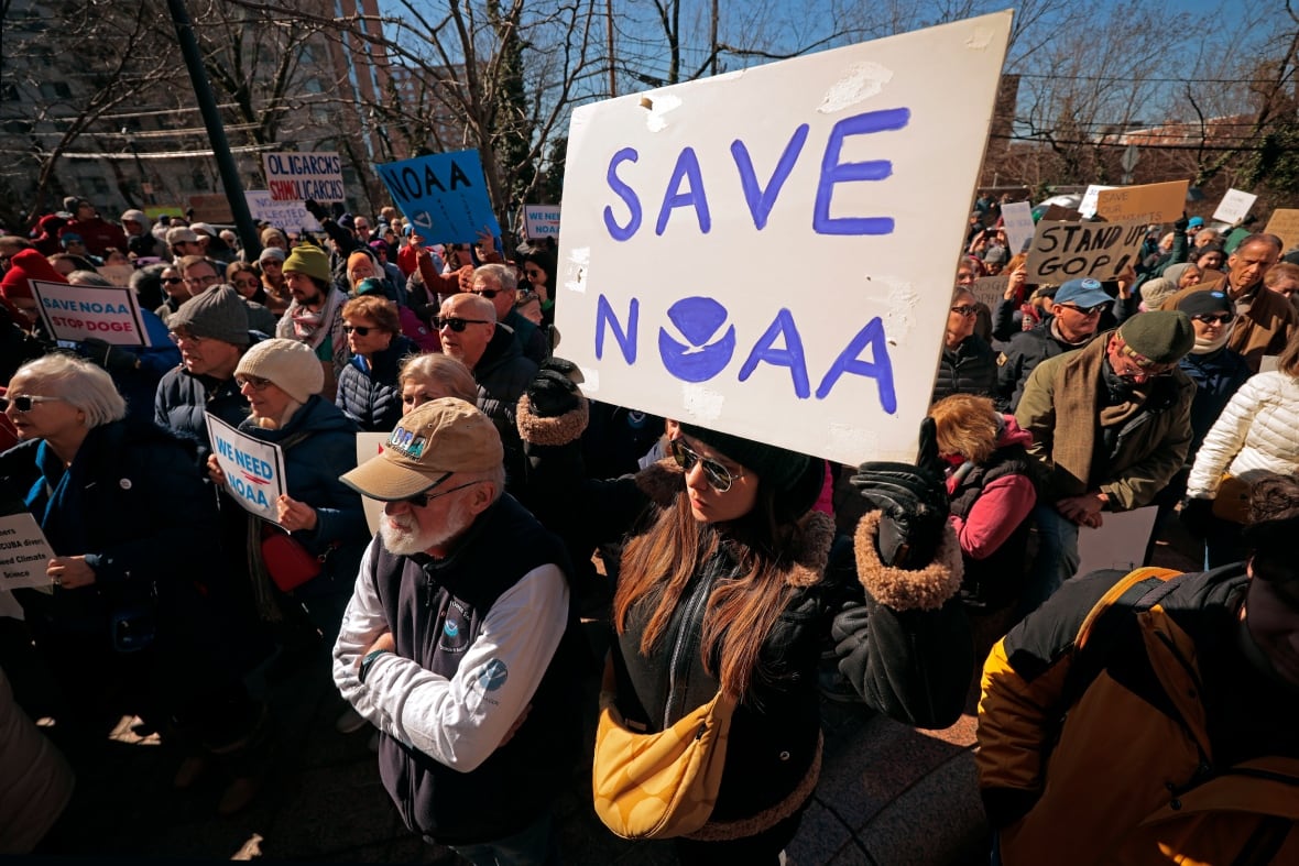 A crowd stands outside holding signs. 